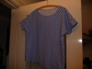 blaues Shirt (640x480).jpg