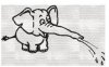elefant.jpg