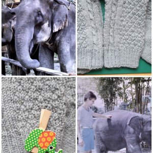 Elefanten-Socken
