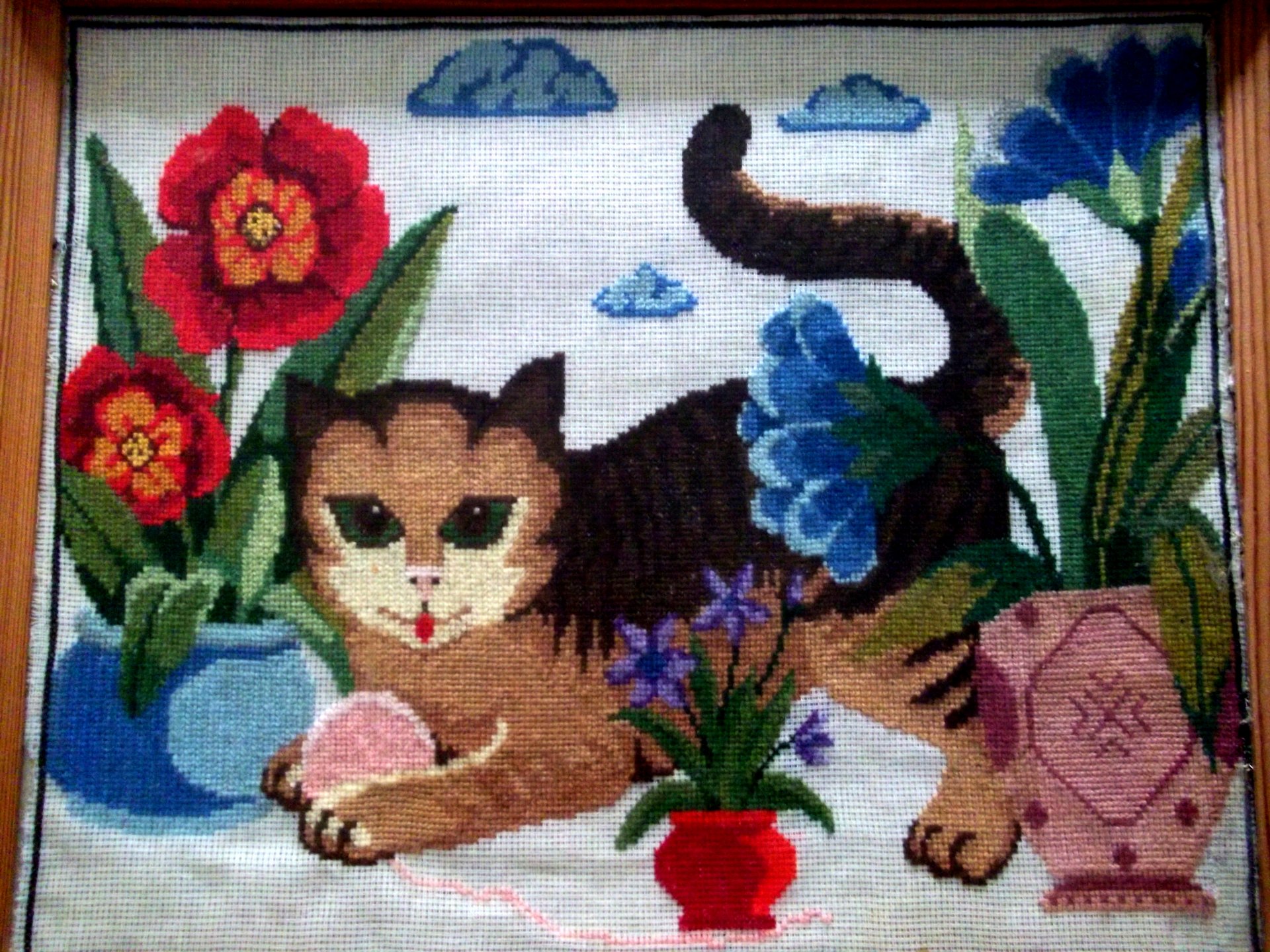 Katze zwischen Blumentöpfe.JPG