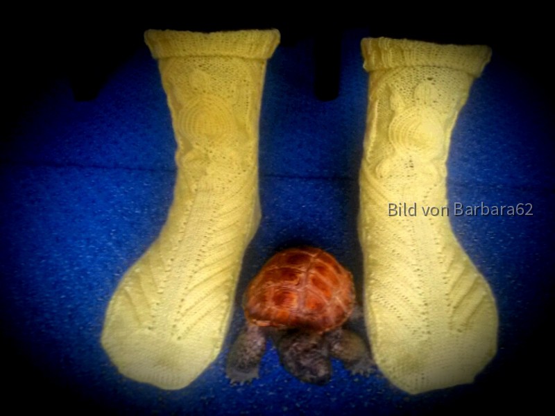 Schildi-Socken