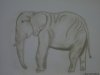 Pastell - Elefant1.jpg