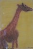 Pastell - Giraffe.jpg