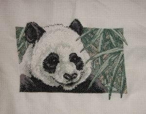 Panda Delight_11.05.2020 B.jpg