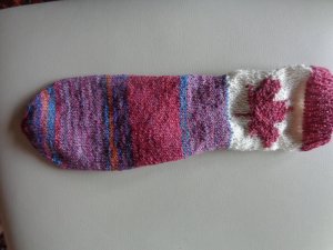 Sockenweltreise Kanada 1. Socke 06.2020.JPG