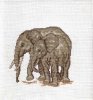 Elefanten Jutta.jpg