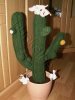 Kaktus_WEB.jpg