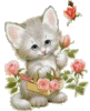 Katze mit Rosen.gif