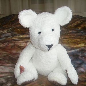 Teddy Knut