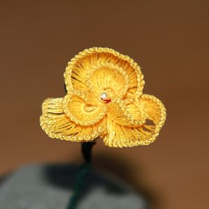 Blüte in Occhi