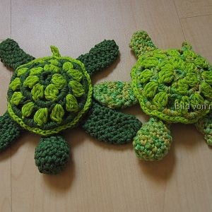 2 wasserschildkröten