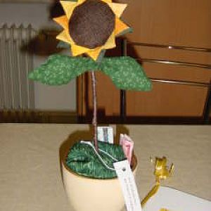 "Geldverschenker" Sonnenblume