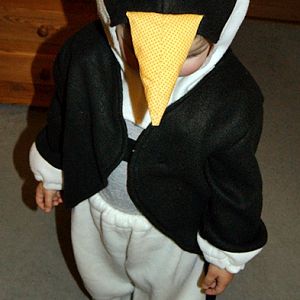 Pinguinkostüm