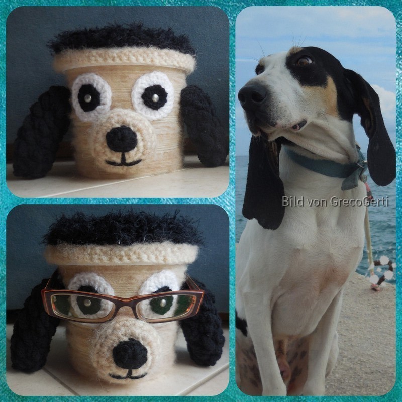 Ivan - der Brillenhund