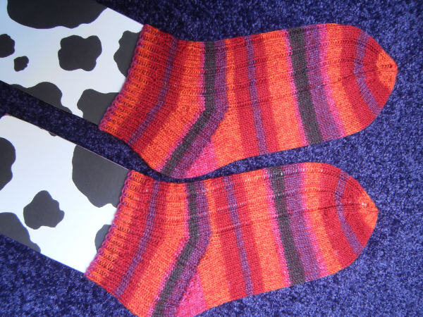 june-socks