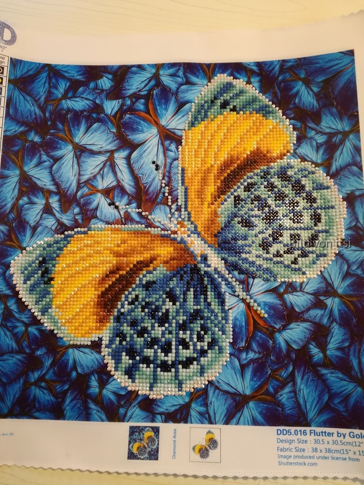 .Schmetterling 2