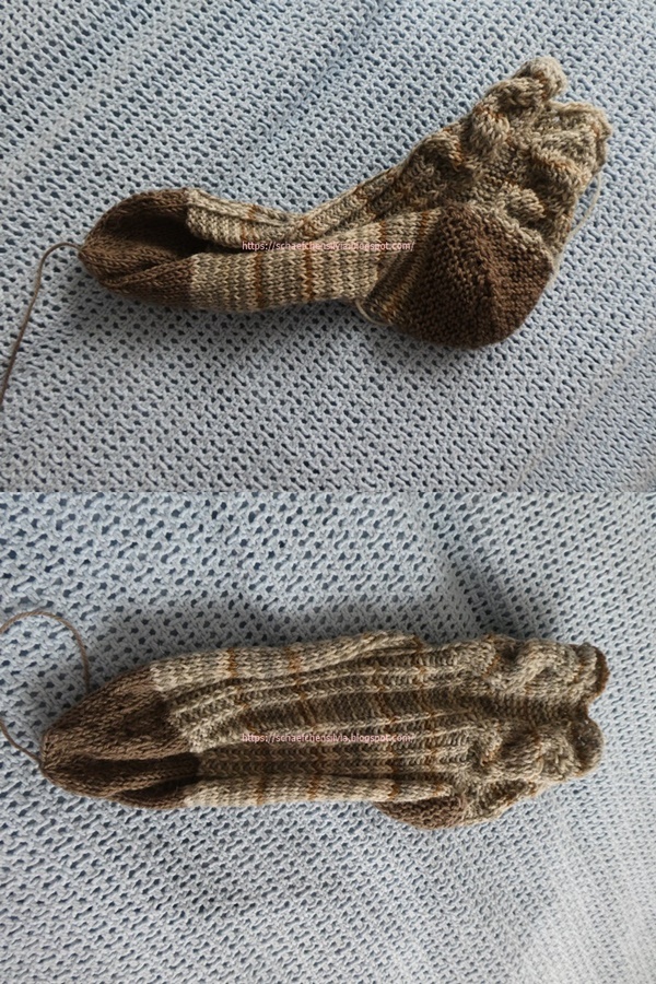 Sockenwanderung der Tiere 1. Socke