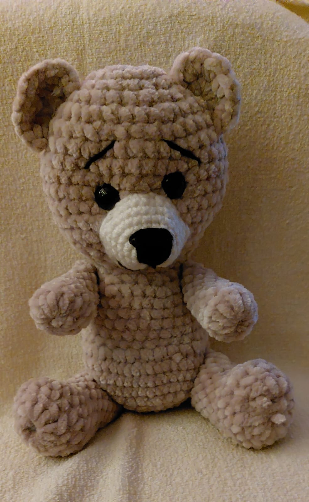 Teddy.jpg