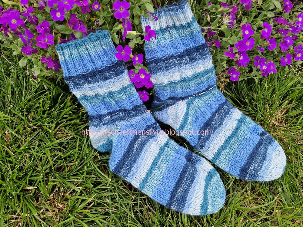 Widder Socken - Auf Socken durchs Forum